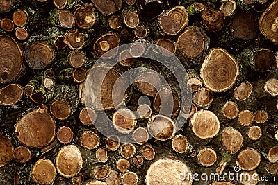 Pile of wooden pillars, that overlapped, beautiful natural wood background. Stock Photo