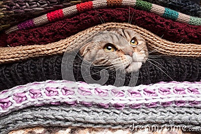 Pile of woolen clothes Stock Photo