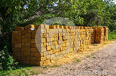 Pile yellow block coquina for construction close-up. Stock Photo