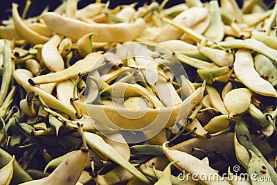 Pile Yellow Flat Beans Stock Photo