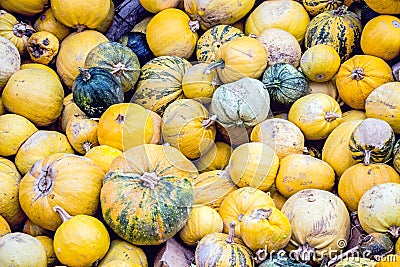 A pile of yellow pumpkins Stock Photo