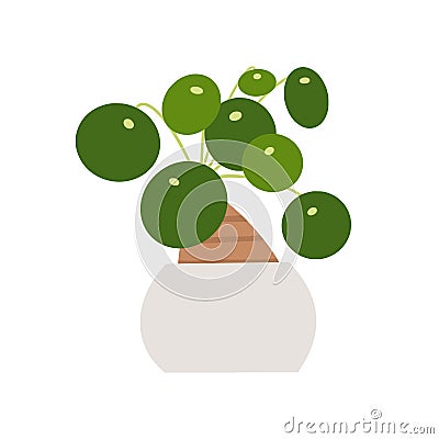 Pilea peperomioides houseplant in flowerpot. Flat hand drawn foliage plant for modern office or home decor illustration. Vector Illustration