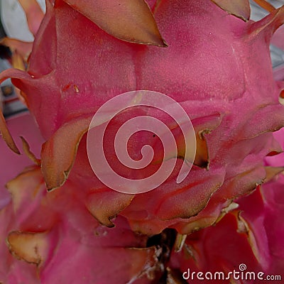 Piles of dragon fruit at a fruit wholesaler Stock Photo