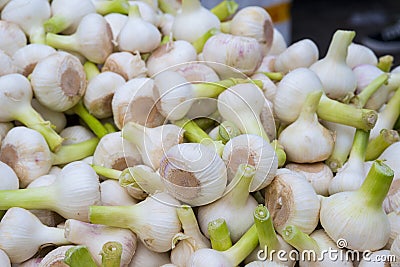 Fresh garlic, vegatables, bright with light green stalks, many Stock Photo