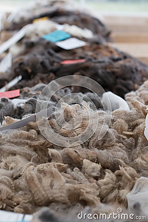 Piles of high quality merino wool Stock Photo