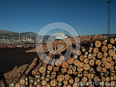 Piles of industrial lumber and boats by the harbour, Lyttleton, New Zealand Editorial Stock Photo