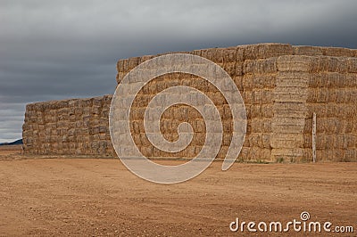 Piles of stacked rectangular straw bales in a farmland. Stock Photo