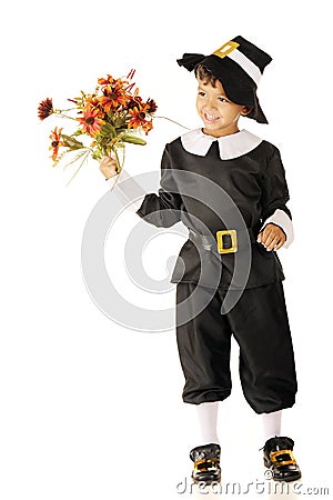 Pilgrim Flowers Stock Photo