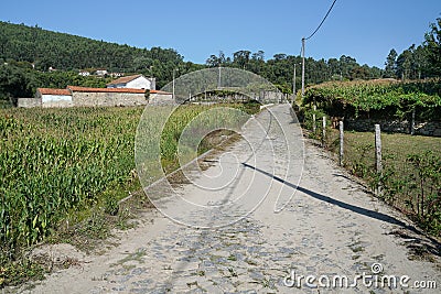 Pilgrim trail, Camino de Santiago, Portugal Stock Photo