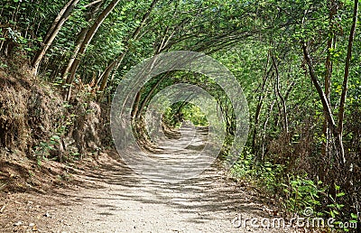 Pilgrim trail, Camino de Santiago, Spain Stock Photo