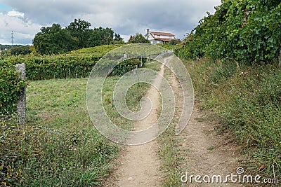 Pilgrim trail, Camino de Santiago, Spain Stock Photo
