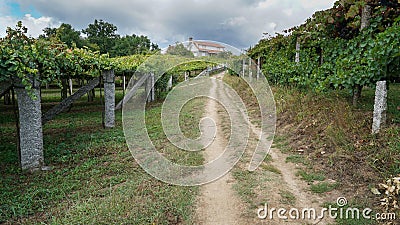 Pilgrim trail, Camino de Santiago, Spain Stock Photo