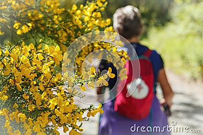 Pilgrim walking along the road to Santiago, Spain Stock Photo