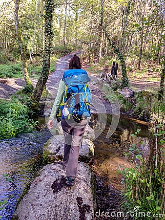 Pilgrim on the Way of Saint James, carrying her backpack through the forest Editorial Stock Photo