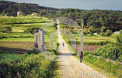 Pilgrims walking along on the Way of St. James, Galicia, Spain Editorial Stock Photo