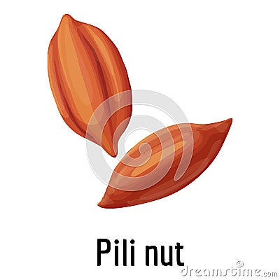 Pili nut icon, cartoon style Vector Illustration