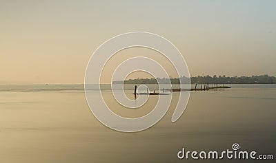 Long exposure of Line of coconut tree pillars in the lake Stock Photo