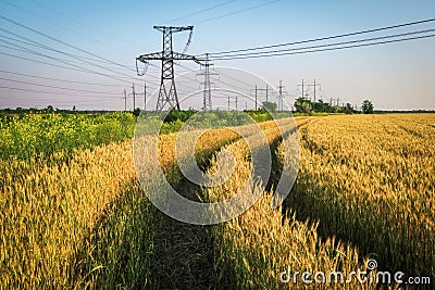 Pillars of line power electricity among the wheat fields with road Stock Photo