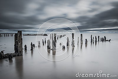 Pilmore Groynes Stock Photo