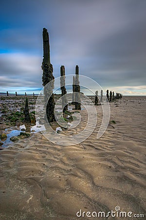 Pilmore Groynes at Low Tide 2 Stock Photo