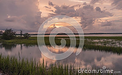 Pinckney Island nature reserve Stock Photo