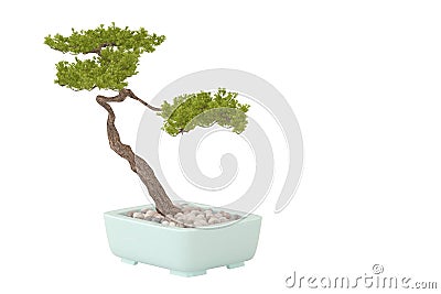 Pine bonsai.3D illustration. Cartoon Illustration