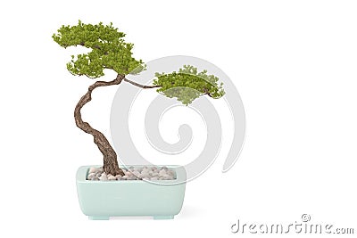 Pine bonsai.3D illustration. Cartoon Illustration