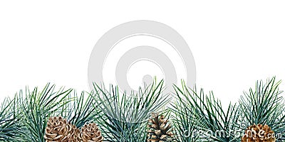 Pine branch seamless border. Watercolor illustration. Evergreen decorative conifer seamless border. Winter pine and cone Cartoon Illustration