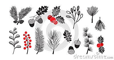 Pine branch spruce and leaf, winter fir and tree, Christmas plant, holly twig, evergreen icon, mistletoe, acorn isolated on white Vector Illustration