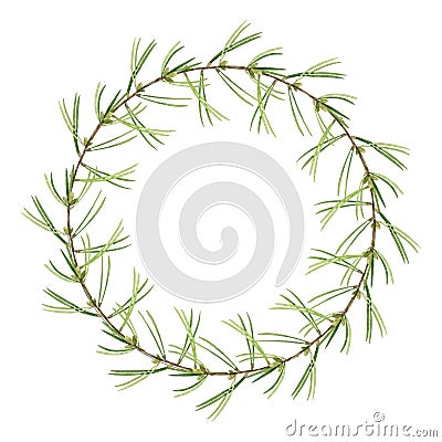 Pine branch wreath. Festive round seasonal decoration. Watercolor illustration. Christmas green holiday wreath. Winter Cartoon Illustration