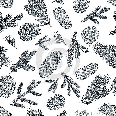 Pine branches and cones seamless pattern. Hand drawn spruce coniferous forest elements. Vector sketch illustration Vector Illustration