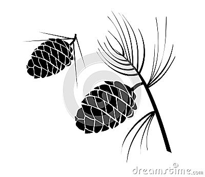 Pine cone Vector Illustration