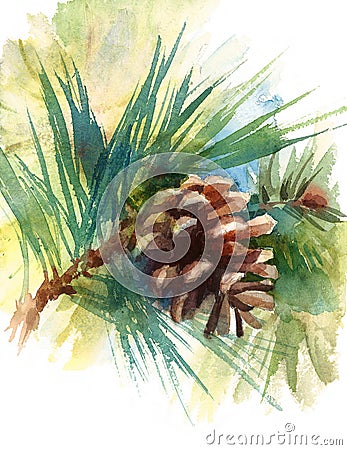 Pine Cone on the Branch Watercolor Illustration Hand Drawn Cartoon Illustration