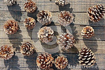 Pine cone, Christmas, pinecone, xmas Stock Photo
