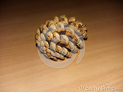 Pine cone on the desk Stock Photo