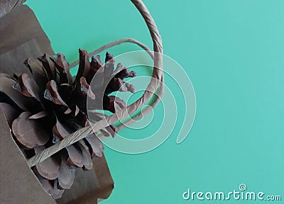 Pine cone in eco bag on green background.Copy space Stock Photo