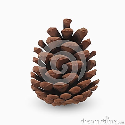 Pine cone. Realistic 3d object isolated on white. Christmas greeting card design template element. Pinecone vector icon, symbol, Vector Illustration