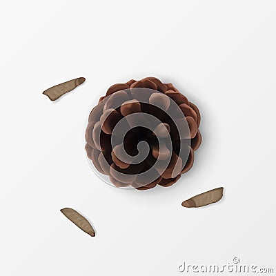 Pine Cone with Scattered Seeds. Top view. Realistic 3d Object isolated on white. Greeting Card Design Element. Pinecone Vector Vector Illustration