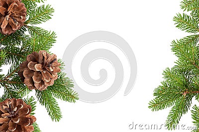 Pine Cones and Needles Stock Photo