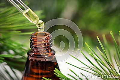 Pine essential oil dripping from pipette Stock Photo