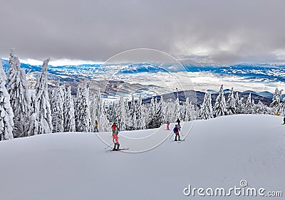 Pine forest covered in snow on winter season,Mountain landscape in Poiana Brasov with view over the the ski slope with skiers and Editorial Stock Photo