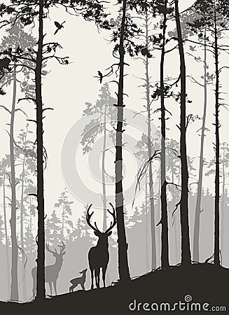 Ð° pine forest with a family of deer and birds Vector Illustration