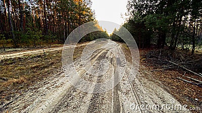 Dirt road passing through the forest Stock Photo