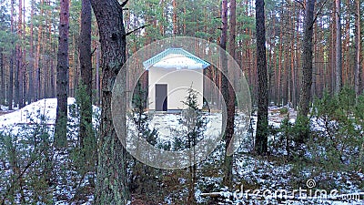 Among the pine forest with juniper bushes there is a plastered technical building with a metal roof. Everything is covered with sn Stock Photo