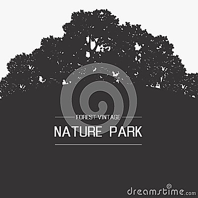 Pine forest. Nature park Vector Illustration