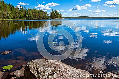 Pine forest reflection in the lake Stock Photo