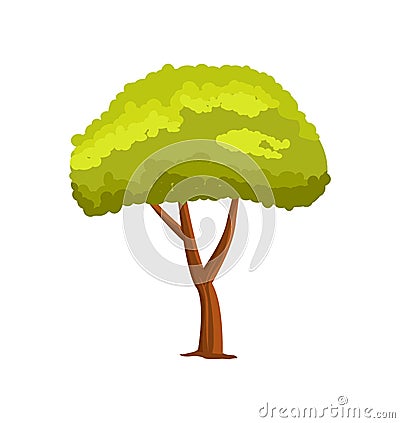 Pine green tree isolated vector icon. Vector Illustration