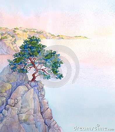 Pine on a high rocky cliff above the sea Stock Photo