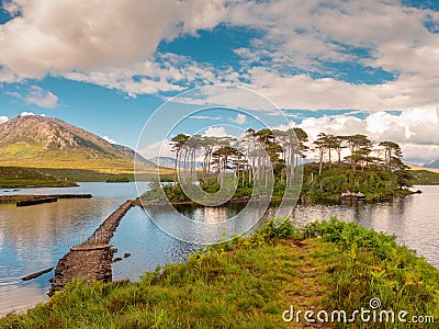 Pine island in Connemara national park, Sunny warm day, County Galway, Ireland. Cloudy dramatic sky Stock Photo