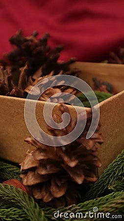 Pine leaves, dried pine, and gift box with red background. Concept of Christmas Stock Photo